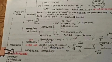 a34409bc2d186ea4fa6d4ec5ae086dac4c1ef1f5